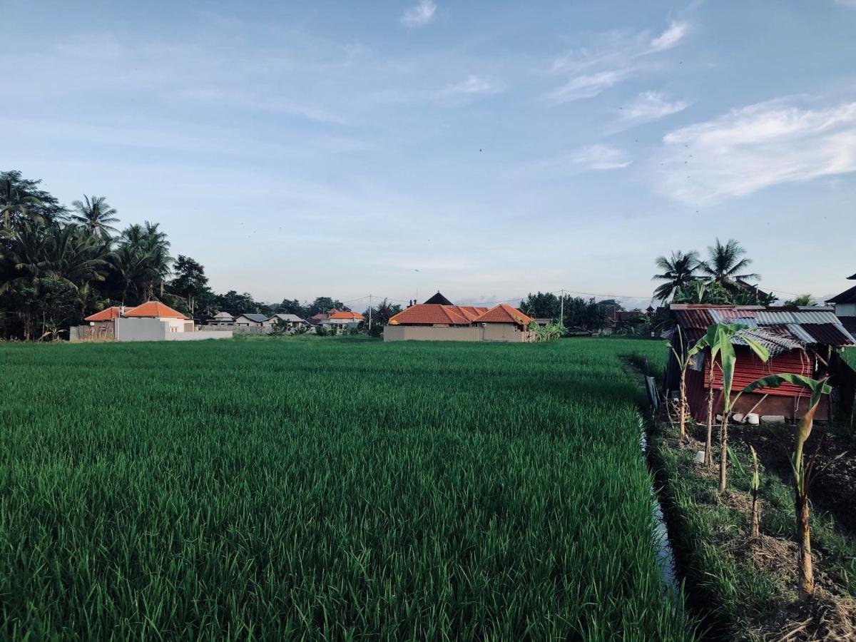 Umagama Villas Ubud Exterior foto